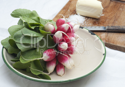 Fresh Radish