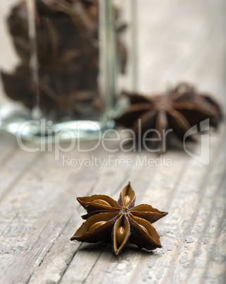 Star Anise (Illicium verum)