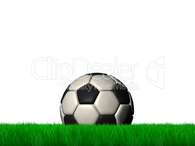 soccer / football ball in grass