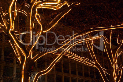 Berlin Unter den Linden Weihnachten - Berlin Under The Linden Trees christmas 04