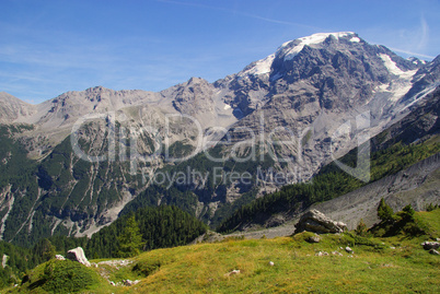 Ortler Massiv - Ortler Alps 18