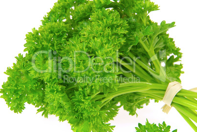 Petersilie - parsley 23
