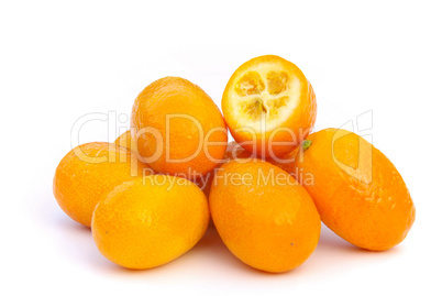 Kumquat 04