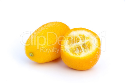 Kumquat 05