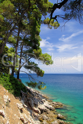 Losinj Strand - Losinj beach 08