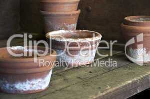 Clay Pots