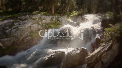(1216) Colorado Rocky Mountains Alpine Meadow  Wildflowers Summer Tourism Waterfall HDR LOOP