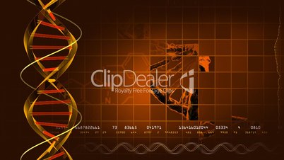 Looping DNA background