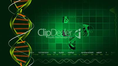 Looping DNA background