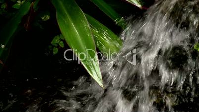 Flowing brook stream and leaf