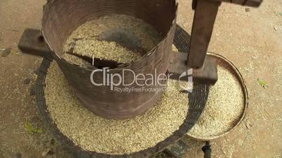 Hulling Rice in a Thai Village