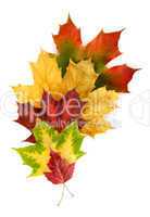Bunte Komposition mit Herbstblättern