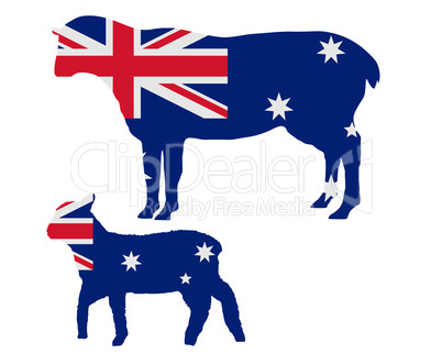 Australiens Schafe