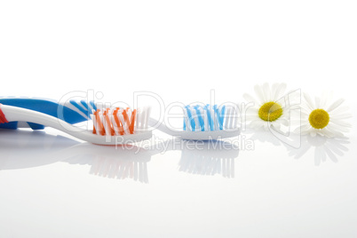 Toothbrushes and chamomile flowers