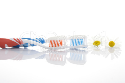 Tooth brush with paste and chamomile