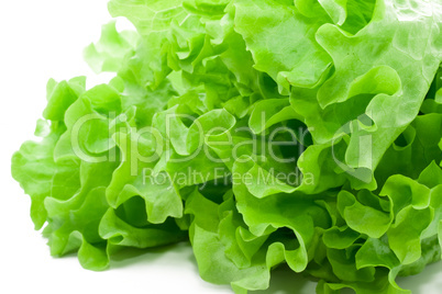 Lettuce