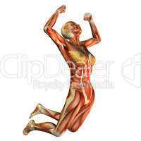 Muskelstudie Frau beim Sprung