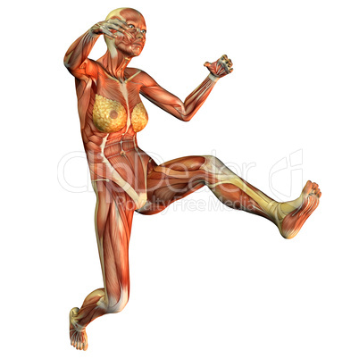 Muskelaufbau einer springenden Frau