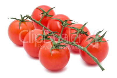 Tomatoes