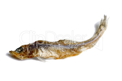 dried tiny fish