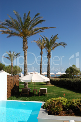 Swimming pool, sunbeds and palms at  luxury villa, Crete, Greece