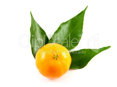 Mandarin with leaf isolated on white background