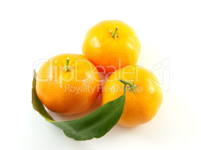 Three mandarin with leaf isolated on white background
