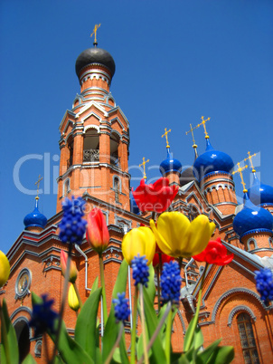 Orthodox Church