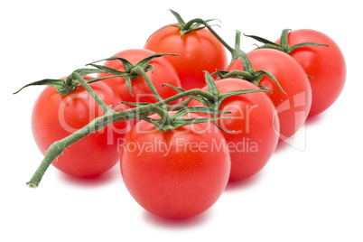 Tomatoes