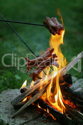 Roasting sausages on campfire in the garden