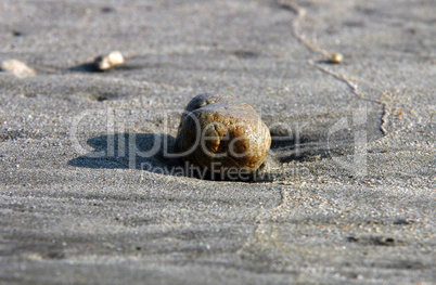 Stone on beach, Puerto Escondido