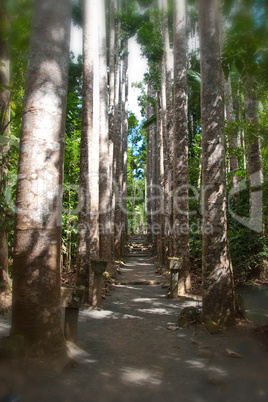 Paronella Park, Australia