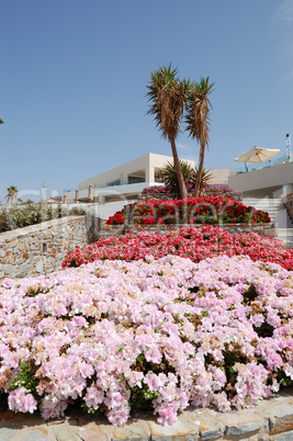 Terrace with flowers at recreation area of luxury hotel, Crete,