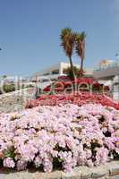 Terrace with flowers at recreation area of luxury hotel, Crete,