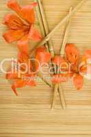 Orange tiger lily