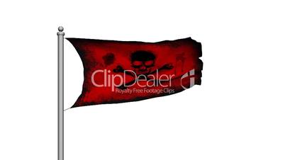 Skull and crossbones pirate flag on white background - Death - Danger