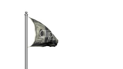 Dollar bill money flag on white background - Finance - Wealth
