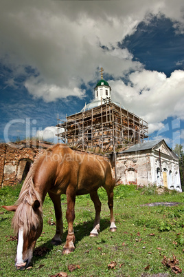 The horse and old church
