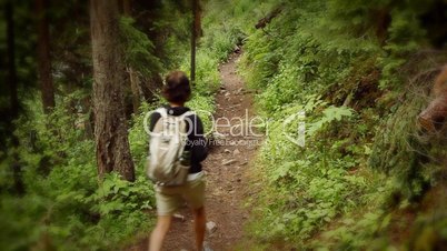 (1232) Woman Hiking Mountain Pine Forest Alone Summer