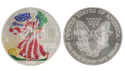Painted Walking Liberty Silver Dollar