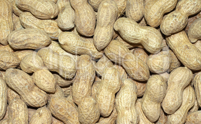 Peanuts