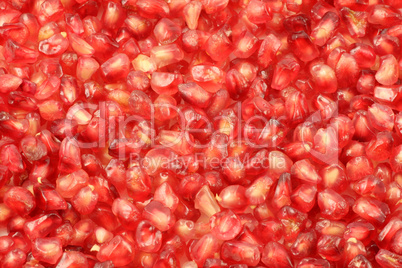 Pomegranate Seeds