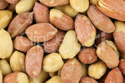 Roasted Peanut Seeds