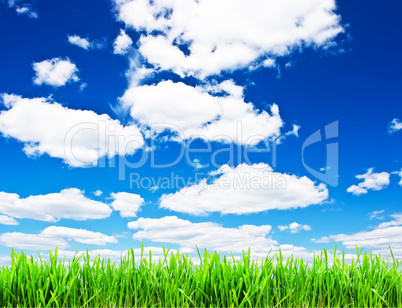 Spring background