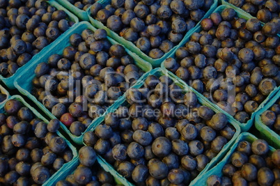 boxes of blueberries