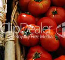 red tomatoes in basket