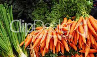 carrots and green onions