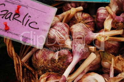 garlic with sign