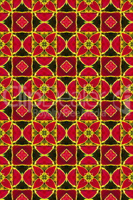 red ornamental pattern