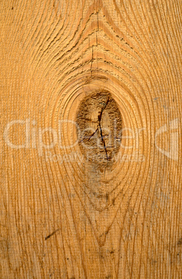 Wood texture